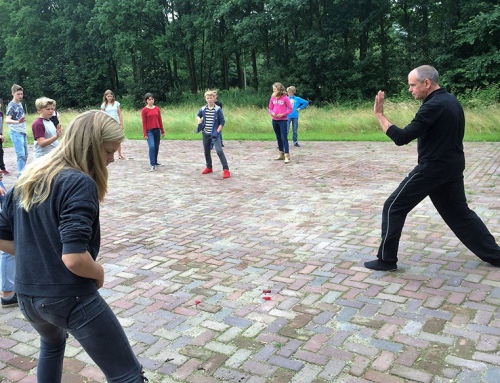 Tai Chi lessen verzorgt als afsluiting van het school jaar 2